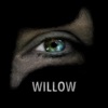 Willow - Single