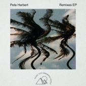 The Gino Fontaine - Revnorev (Pete Herbert Remix)