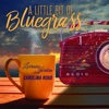 A Little Bit of Bluegrass - Single, 2022