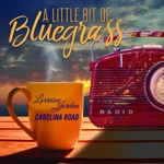 A Little Bit of Bluegrass - Single