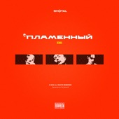 Пламенный (feat. Niman & Truwer) [Remix] artwork