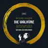 Stream & download Die Walküre, WWV 86B, Act III: Nicht sehre dich Sorge um mich (Remastered 2022)