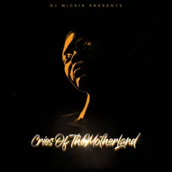 Cries of the Motherland (Main Mix) - Single by DJ Micsir album reviews, ratings, credits