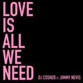 Love Is All We Need (feat. Jimmy Nevis) artwork