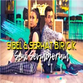 Seni Sevmiyorum Artık (feat. Sibel Biricik & Serhat Biricik) artwork