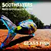 Glass Fish (Radio Edit) - Single album lyrics, reviews, download