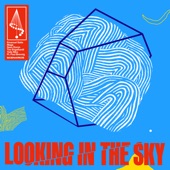 Looking in the Sky (feat. Paul Brenning) [Radio Edit] artwork