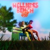 Wellness Bench - Single