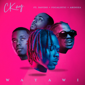 WATAWI (feat. Davido, Focalistic & Abidoza) [Edit] - CKay