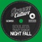 Night Fall (Extended Mix) artwork