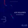 Ani Maamin (feat. Mordechai Shapiro) - Single album lyrics, reviews, download