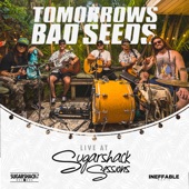 Tomorrow's Bad Seeds - EP (Live at Sugarshack Sessions) artwork