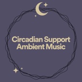 Circadian Support Ambient Music artwork