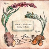 Marina Orchestra - Music Is Medicine (Instrumental)