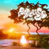 PARAÍSO artwork