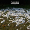 Transverse Landscape, Pt. 1 - Single