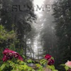 Summer - Single