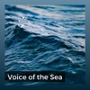 Voice of the Sea