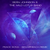 Peace Song (Ben Leinbach Remix) artwork