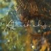 Atmerk Akis - Single