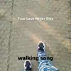 True Love Never Dies - Single album lyrics, reviews, download