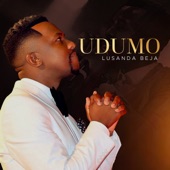 Udumo artwork