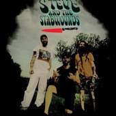 Steve and the stabwounds - Shake you up
