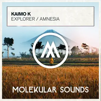 Explorer / Amnesia - EP by Kaimo K album reviews, ratings, credits