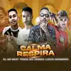 Stream & download Calma Respira (feat. mc herick & mc trava) [Remix]