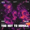 Too Hot to Handle - Single