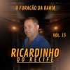 O Furacão da Bahia, Vol. 15