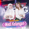 Wedi Kelangan (feat. Ageng Music) - Single