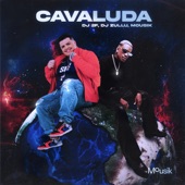 Cavaluda artwork