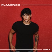Aritz - Flamenco