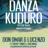 Danza Kuduro (remix) artwork