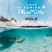 De Camino a Palomino, Vol. 2 artwork