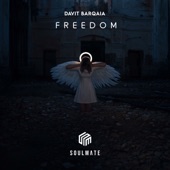 Freedom artwork