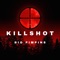Killshot - Big Pimpins lyrics