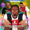 Ye Anthem (Mellow & Sleazy Remix) - Single