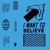 I Want To Believe artwork