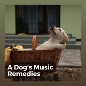 A Dog's Music Remedies artwork