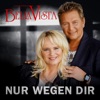 Nur wegen Dir - Single