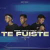 Stream & download Te Fuiste (feat. Criss & VIIELO) - Single