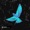 HARDDOPE AMELIA KHOR PACANI COVER 2022 - BLUE BIRD