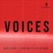 Voices (Earsquaker Remix Extended) artwork