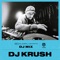 Borta Om En Sekund (DJ Krush Edit) - Joel Forsberg lyrics