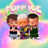 Popp ice artwork
