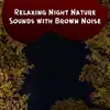 Relaxing Night Nature Sounds with Brown Noise, Loopable album lyrics, reviews, download