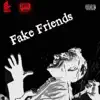 Fake Friends (feat. DMG) - Single album lyrics, reviews, download