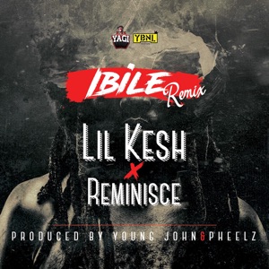 Ibile (feat. Reminisce) [Remix] - Single